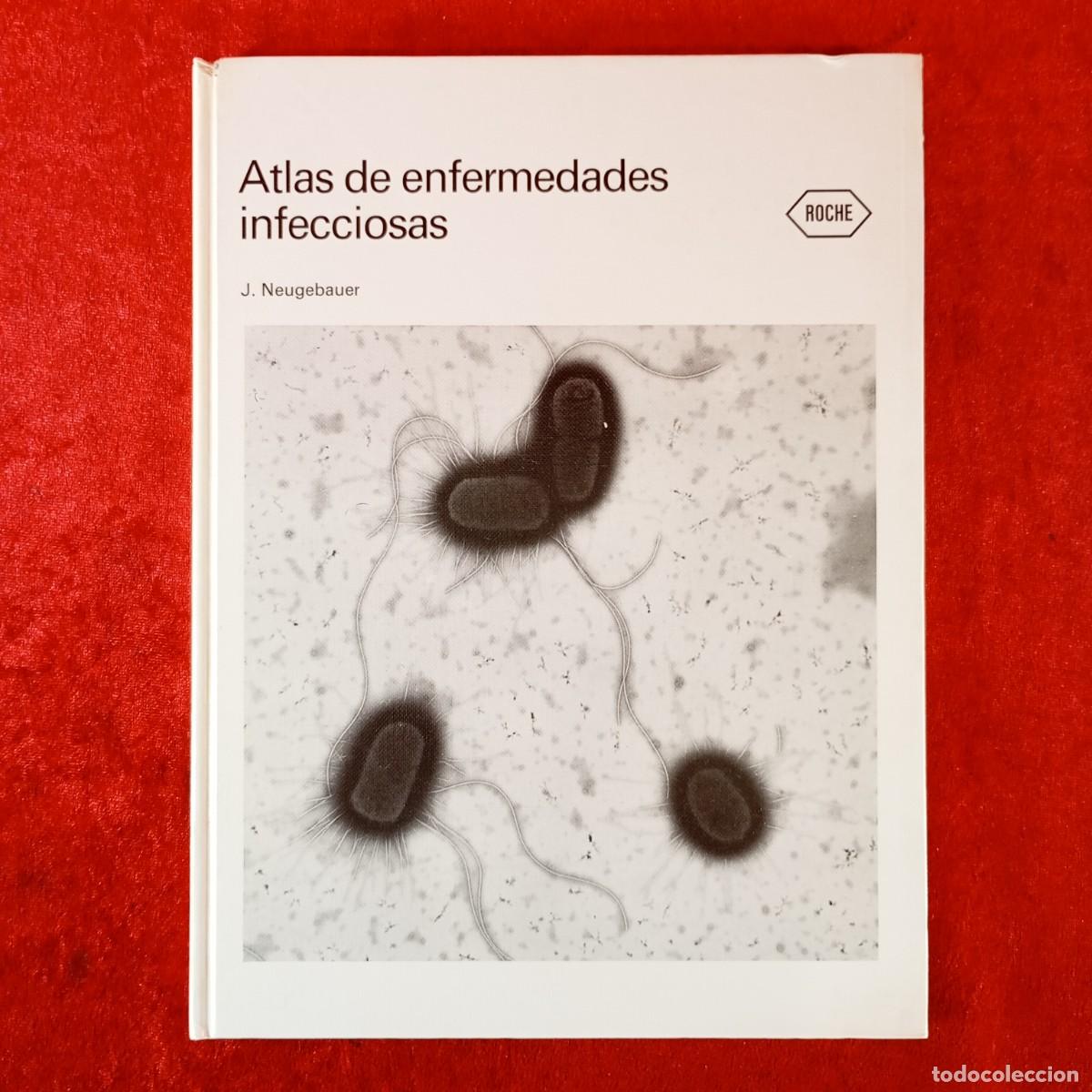 Libros de segunda mano: ATLAS DE ENFERMEDADES INFECCIOSAS - J. NEUGEBAUER - ROCHE / 311