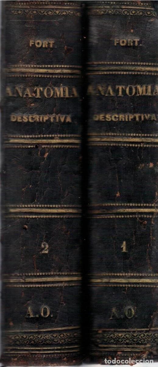 Libros de segunda mano: ANATOMIA DESCRIPTIVA Y DISECCION. 2 TOMOS. FORT, DOCTOR J. A. A-MEDI-1731