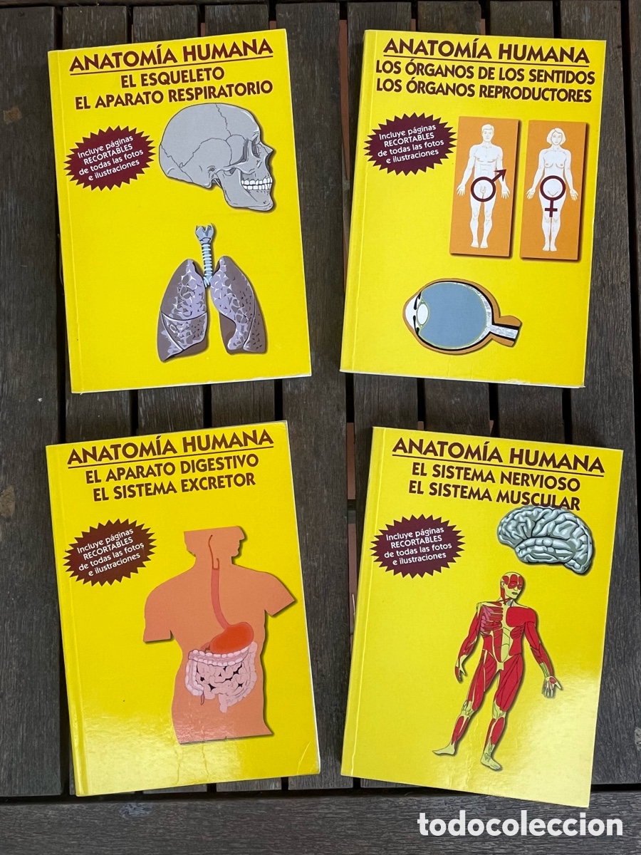 Libros de segunda mano: Anatom&iacute;a humana con p&aacute;ginas recortables Editorial Fapa NUEVOS