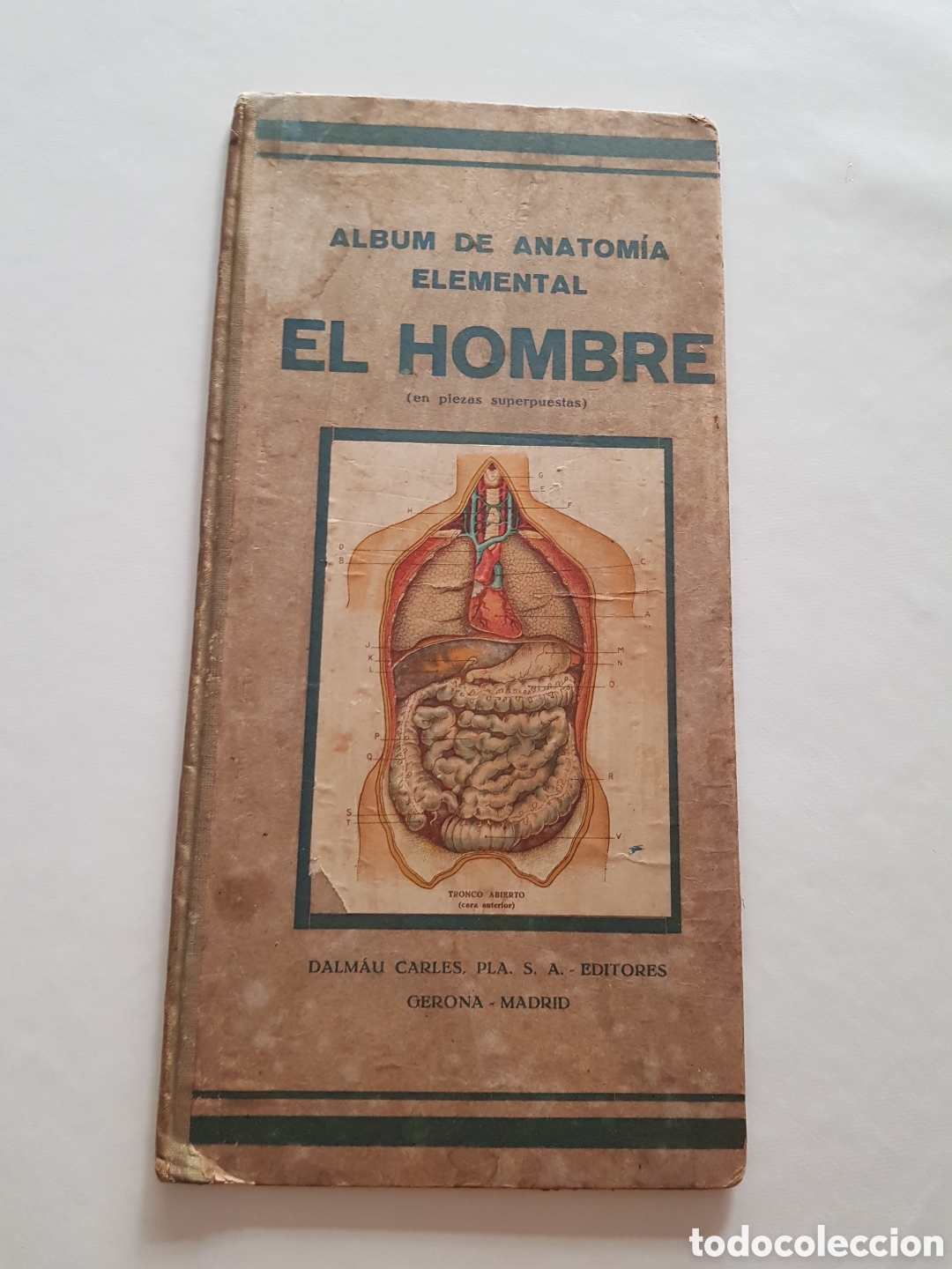 Libros de segunda mano: Album elemental de Anatomia del Hombre. Dalmau Carles, Pla. Editores.