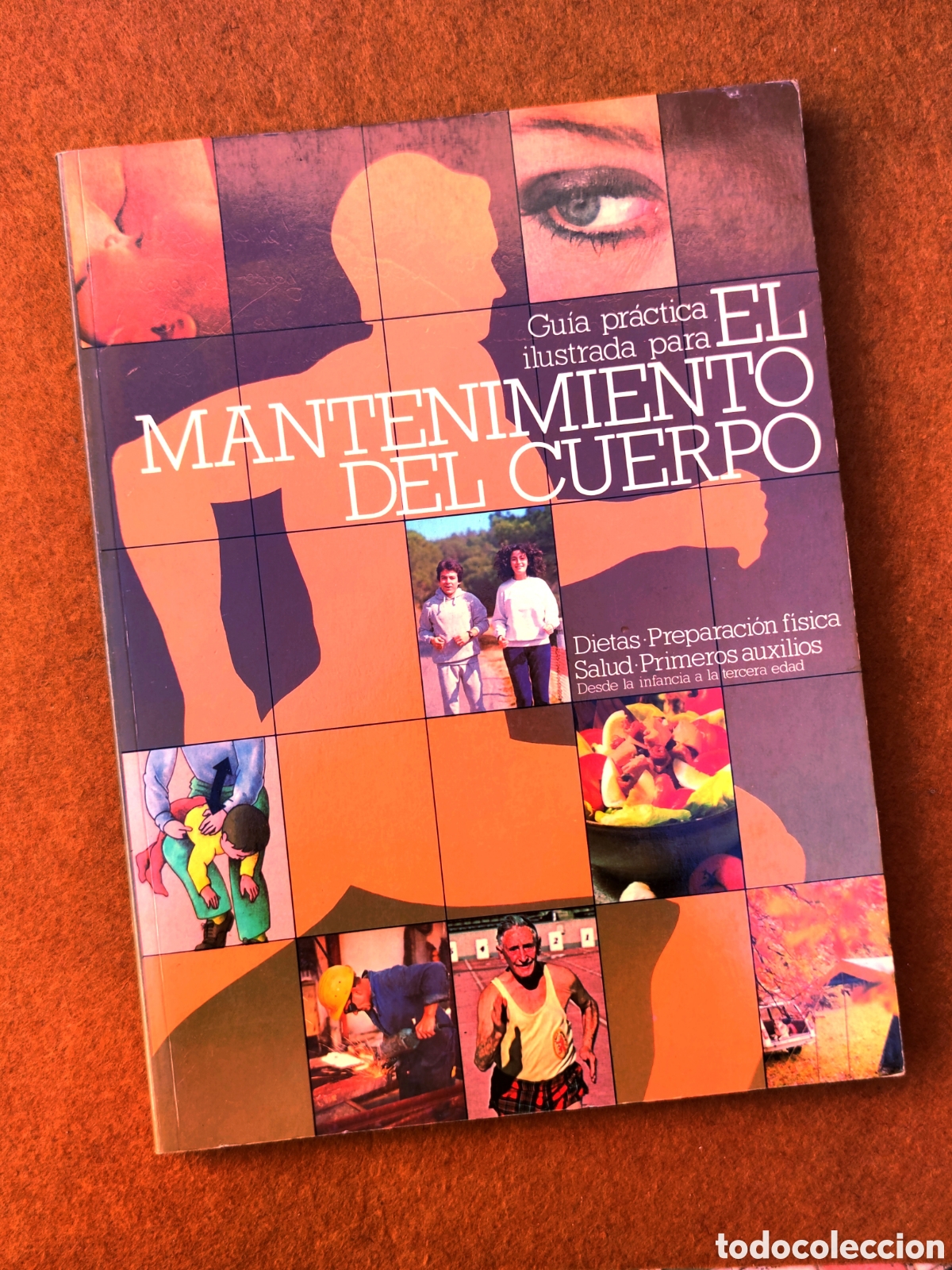 Libros de segunda mano: Gu&iacute;a pr&aacute;ctica ilustrada para El mantenimiento del cuerpo - Ed. Blume, 1983 2a Ed.
