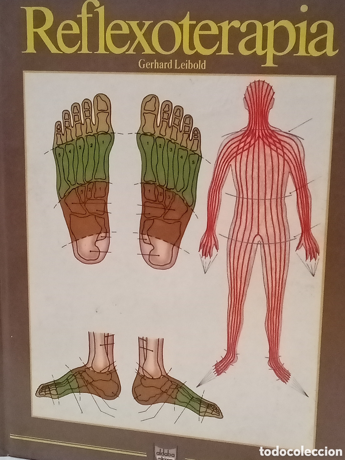 Gebrauchte B&uuml;cher: Gerhard Leibold. Reflexoterapia