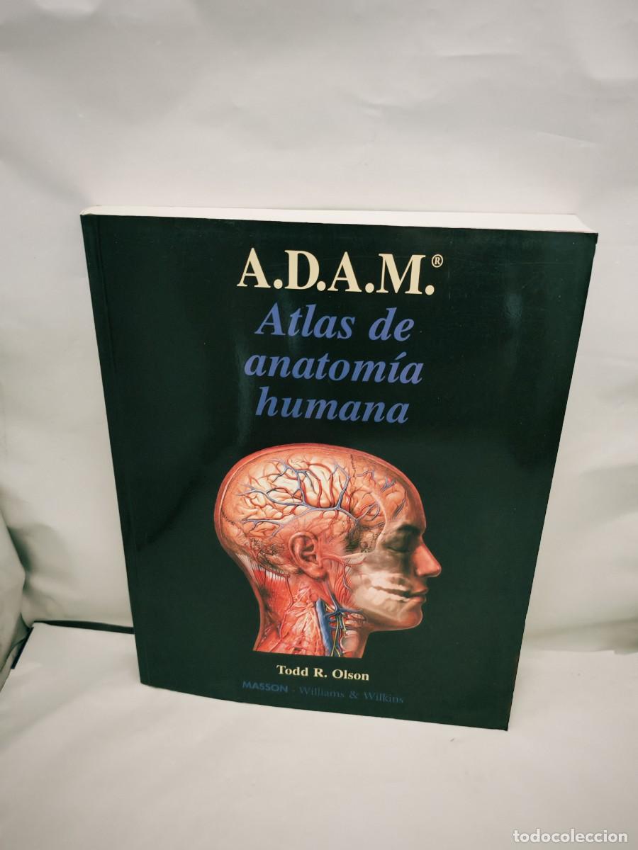 Second hand books: Atlas de Anatom&iacute;a humana, A.D.A.M.