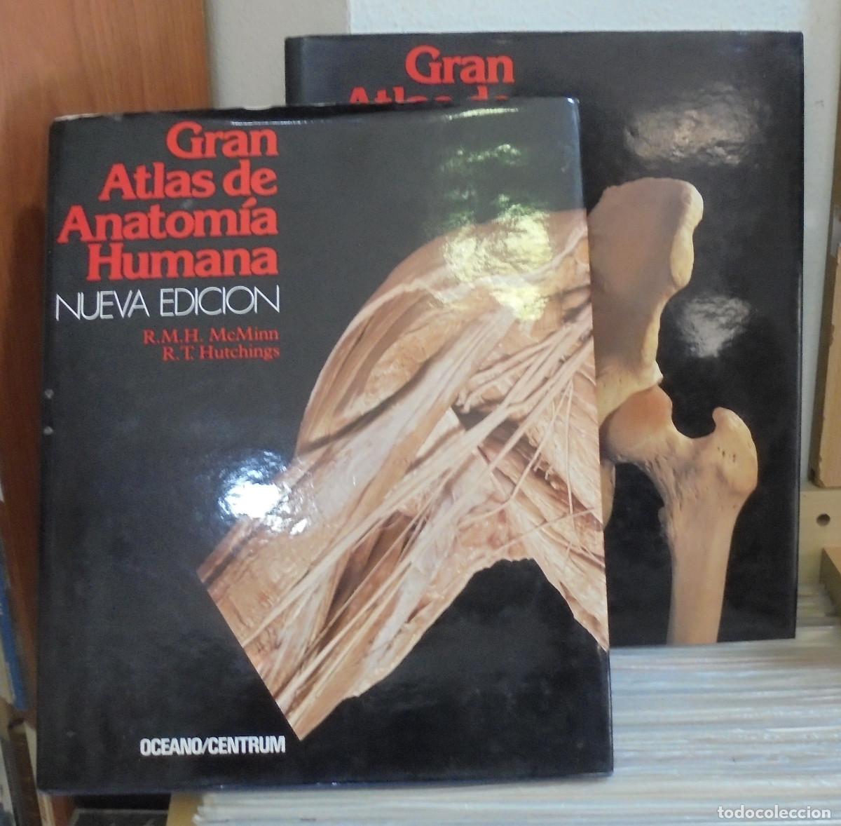 Libros de segunda mano: Gran atlas de anatom&iacute;a humana, 2 tomos