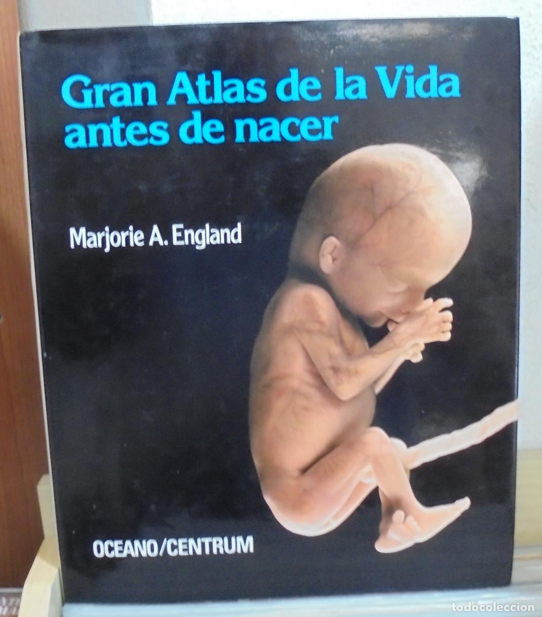 Libros de segunda mano: Gran atlas de la Vida antes de nacer