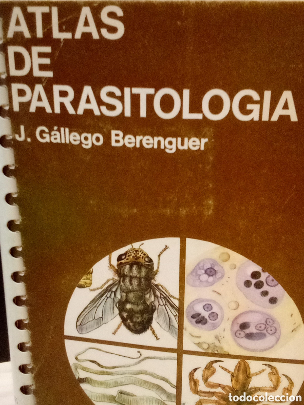 Gebrauchte B&uuml;cher: J. G&aacute;llego Berenguer. Atlas de parasitolog&iacute;a