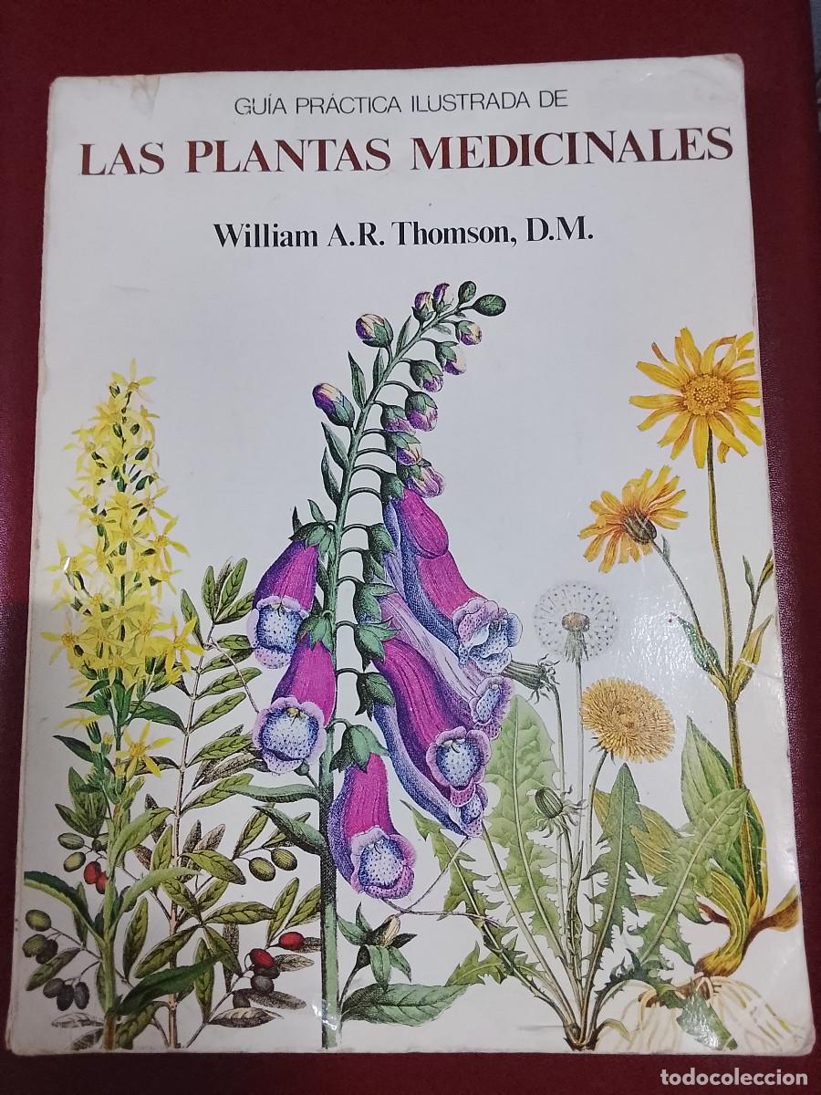 Libros de segunda mano: William A.R. Thomson: Gu&iacute;a ilustrada de las plantas medicinales (Editorial Blume. 1981)