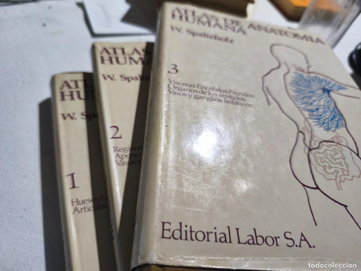 Libros de segunda mano: Atlas de anatom&iacute;a humana. W. Spalteholz. 3 volumenes