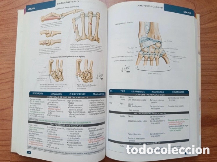 Libros de segunda mano: Atlas Pr&aacute;ctico de Anatom&iacute;a Ortop&eacute;dica. Netter. - Foto 3