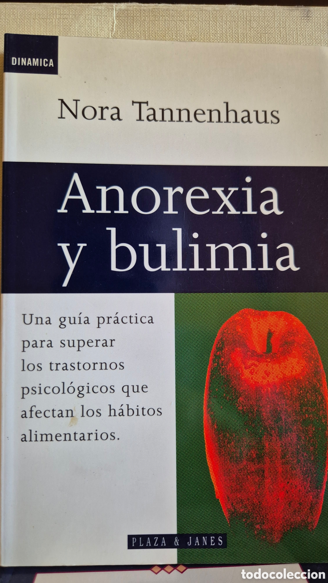 Libros de segunda mano: Anorexia y Bulimia Gu&iacute;a pr&aacute;ctica