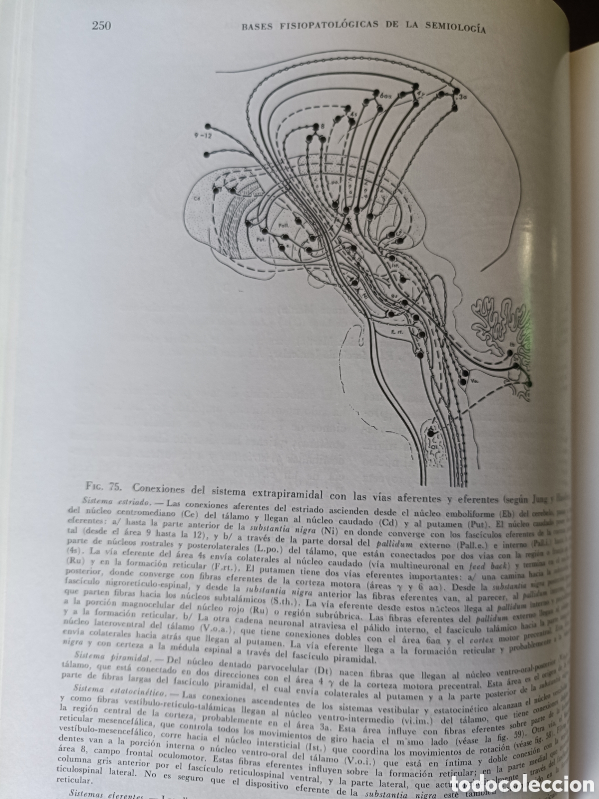 Libros de segunda mano: Neurolog&iacute;a Fundamental. - Foto 4