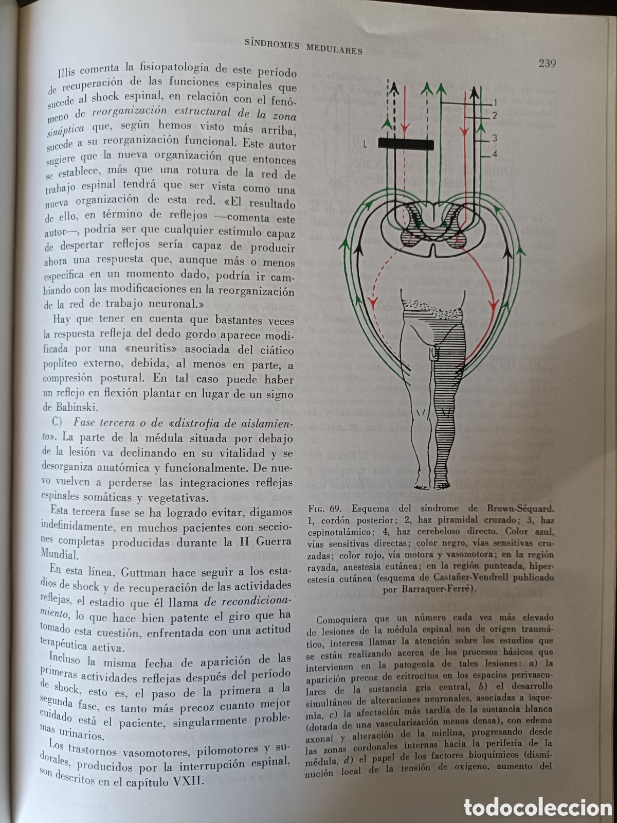 Libros de segunda mano: Neurolog&iacute;a Fundamental. - Foto 5