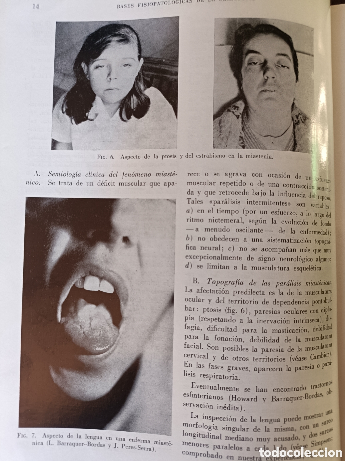 Libros de segunda mano: Neurolog&iacute;a Fundamental. - Foto 6