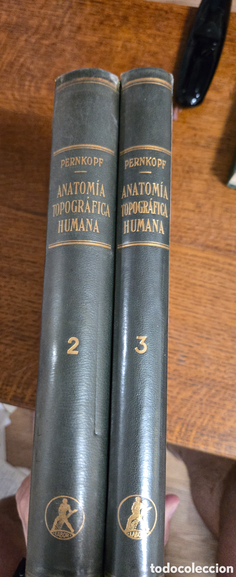 Libros de segunda mano: Eduard Pernkopf &ndash; Anatom&iacute;a Topogr&aacute;fica Humana &ndash; Tomos II y III &ndash; Editorial Labor (1960) &ndash; Obra cl&aacute;si