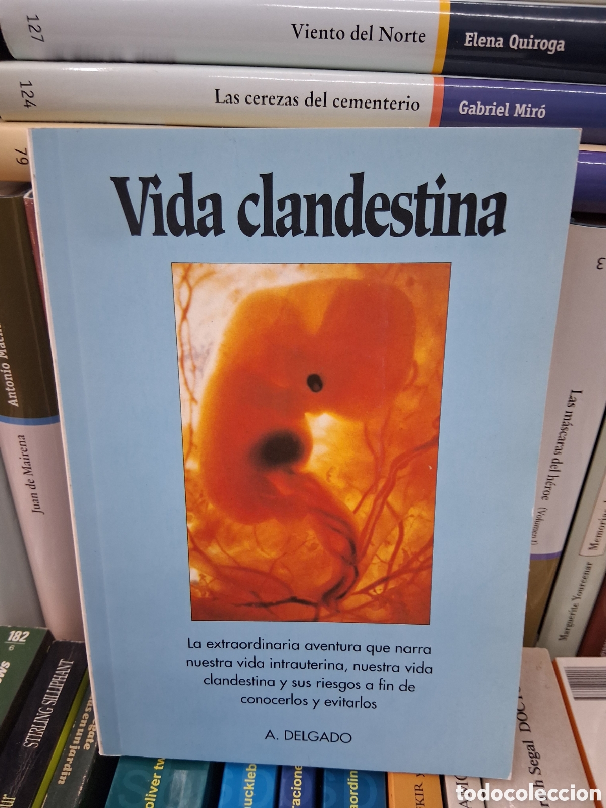 Libros de segunda mano: La vida clandestina - A.Delgadov- Ordesa