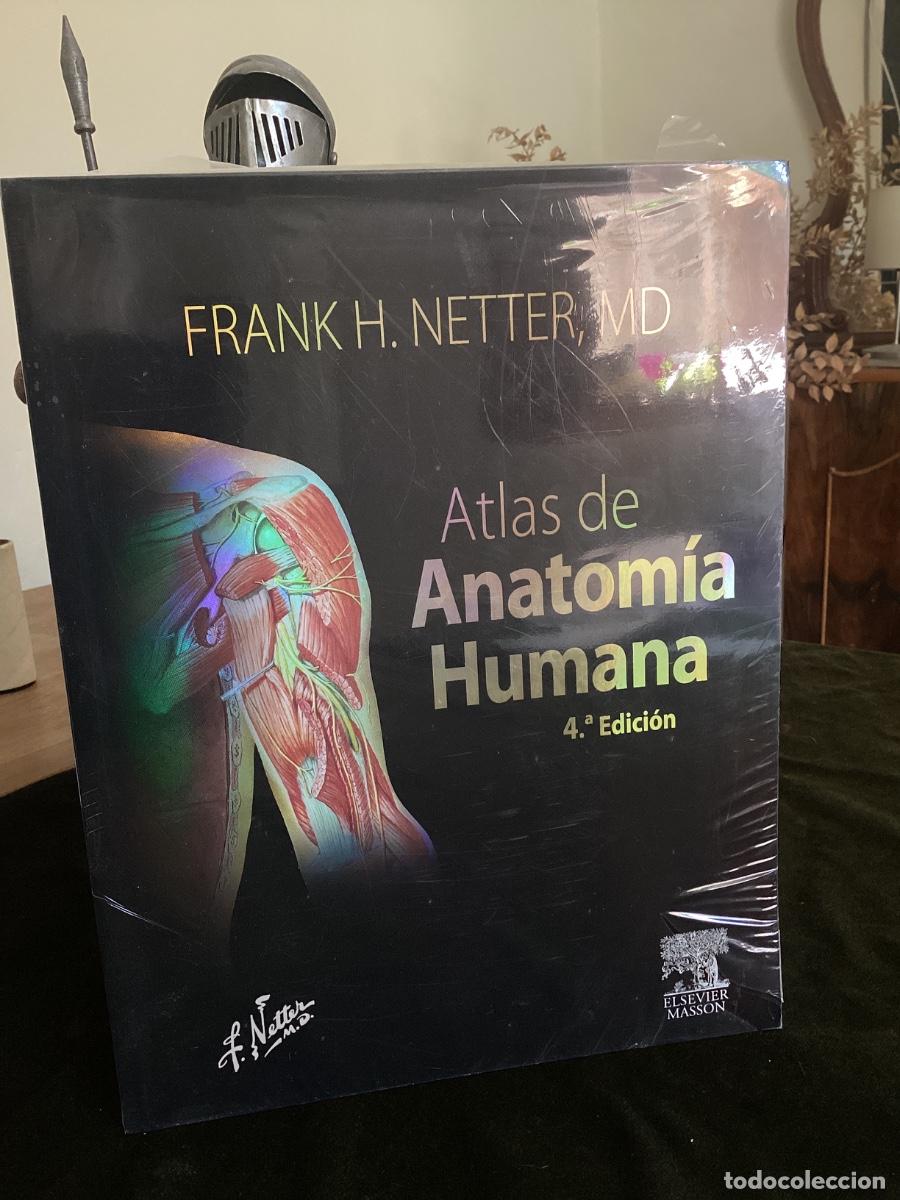 Libros de segunda mano: ATLAS DE ANATOMIA HUMANA. FRANK H. NETTER. 4&ordf; EDC. ELSEVIER MASSON, 2017