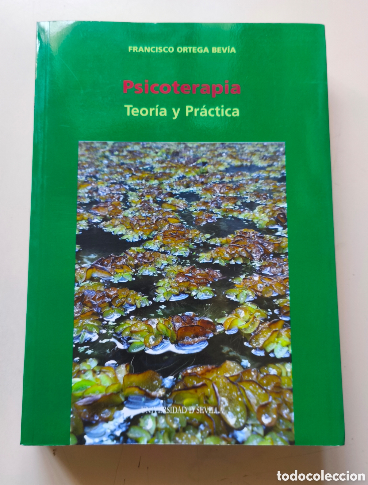 Libros de segunda mano: PSICOTERAPIA. TEORIA Y PRACTICA Por FRANCISCO ORTEGA BEVIA