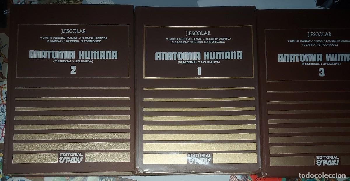 Libros de segunda mano: ANATOM&Iacute;A HUMANA ( FUNCIONAL Y APLICATIVA ). 3 VOLS. - J. ESCOLAR Y VV.AA.- ESPAXS.