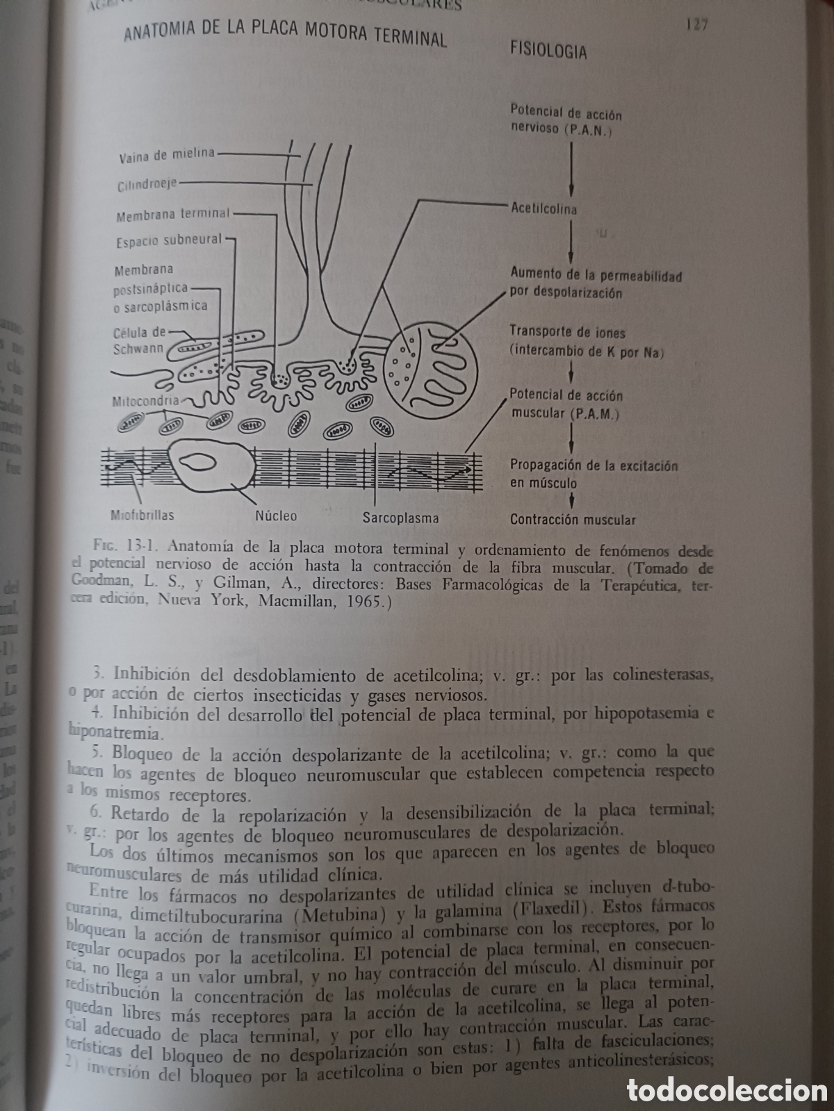 Libros de segunda mano: Teor&iacute;a y pr&aacute;ctica anest&eacute;sica. - Foto 4