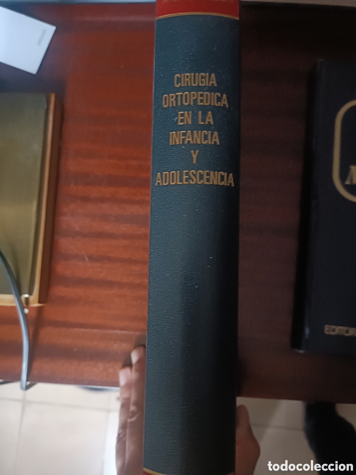 Libros de segunda mano: Libro Cirug&iacute;a Ortop&eacute;dica infancia y adolescenci