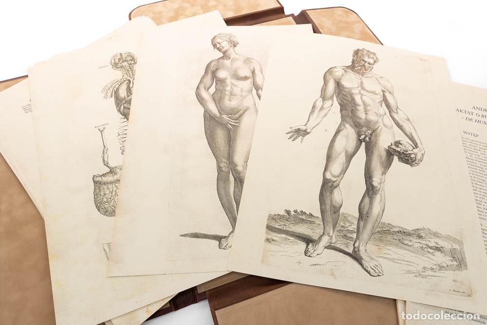 Libros de segunda mano: Vesalio / Vesalius - De humani corporis fabrica - 30 l&aacute;minas facs&iacute;mil - Orbis Pictus