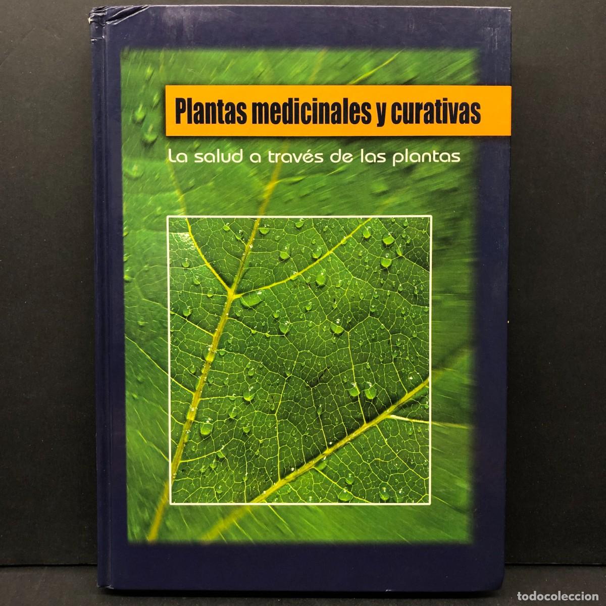Libros de segunda mano: PLANTAS MEDICINALES Y CURATIVAS - LA SALUD A TRAV&Eacute;S DE LAS PLANTAS / 378