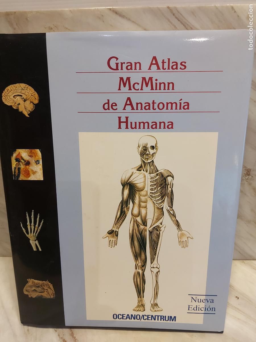 Libros de segunda mano: GRAN ATLAS McMINN DE ANATOM&Iacute;A HUMANA | 4&ordf; EDICI&Oacute;N | 352 P&Aacute;G. | SOBRECUBIERTA