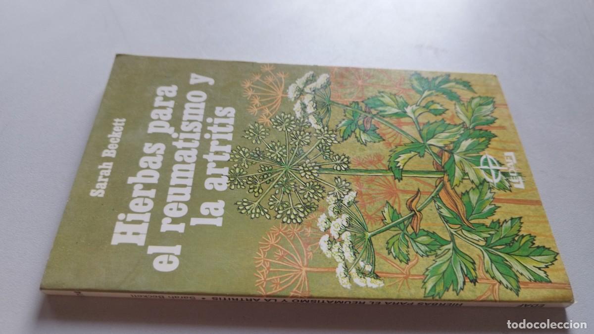 Libros de segunda mano: HIERBAS PARA EL REUMATISMO Y LA ARTRITIS/SARAY BECKETT/ GV 82/PLUS VITAE/HOMEOPATIA NATURAL ALTERNAT