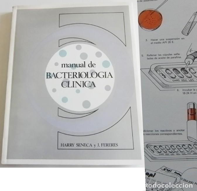 Libros de segunda mano: MANUAL DE BACTERIOLOG&Iacute;A CL&Iacute;NICA LIBRO HARRY SENECA FERERES MEDICINA MICROSCOPIA BACTERIAS INFECCI&Oacute;N