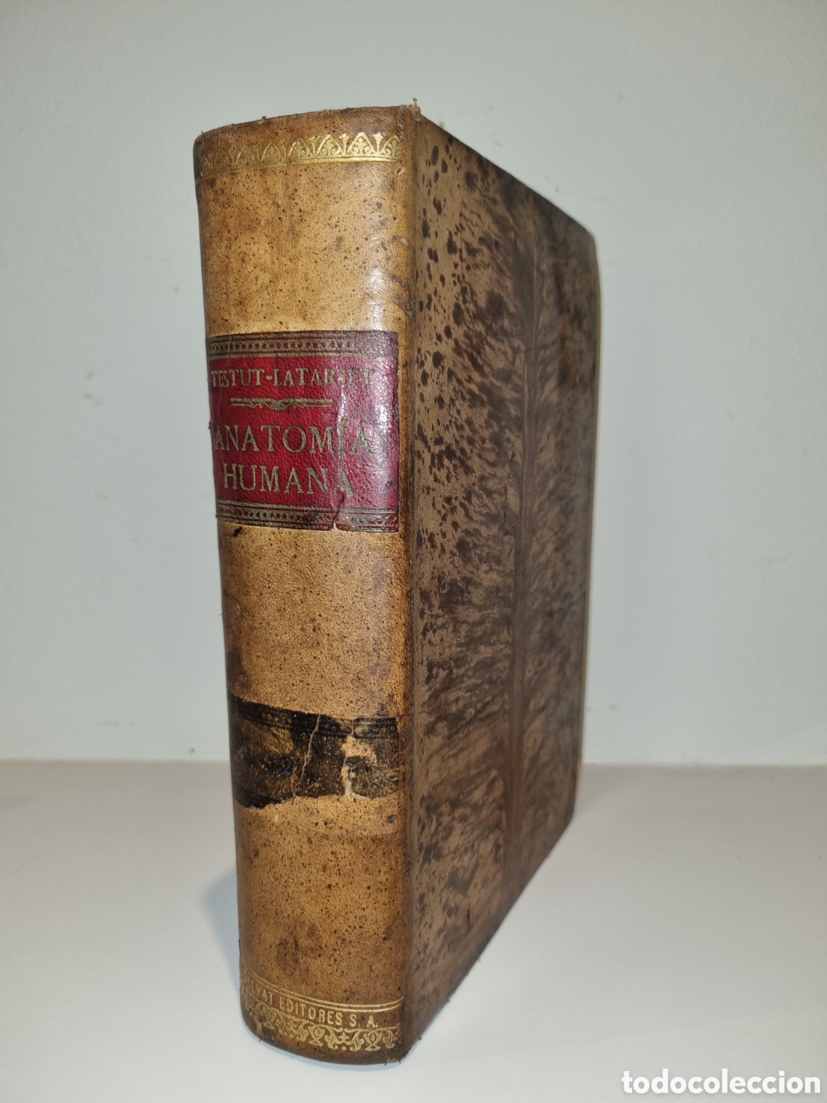 Livres d'occasion: Tratado de anatom&iacute;a humana. L. Testut. Tomo 2. Angiolog&iacute;a y sistema nervioso. 1940. Piel. Ed. Salvat