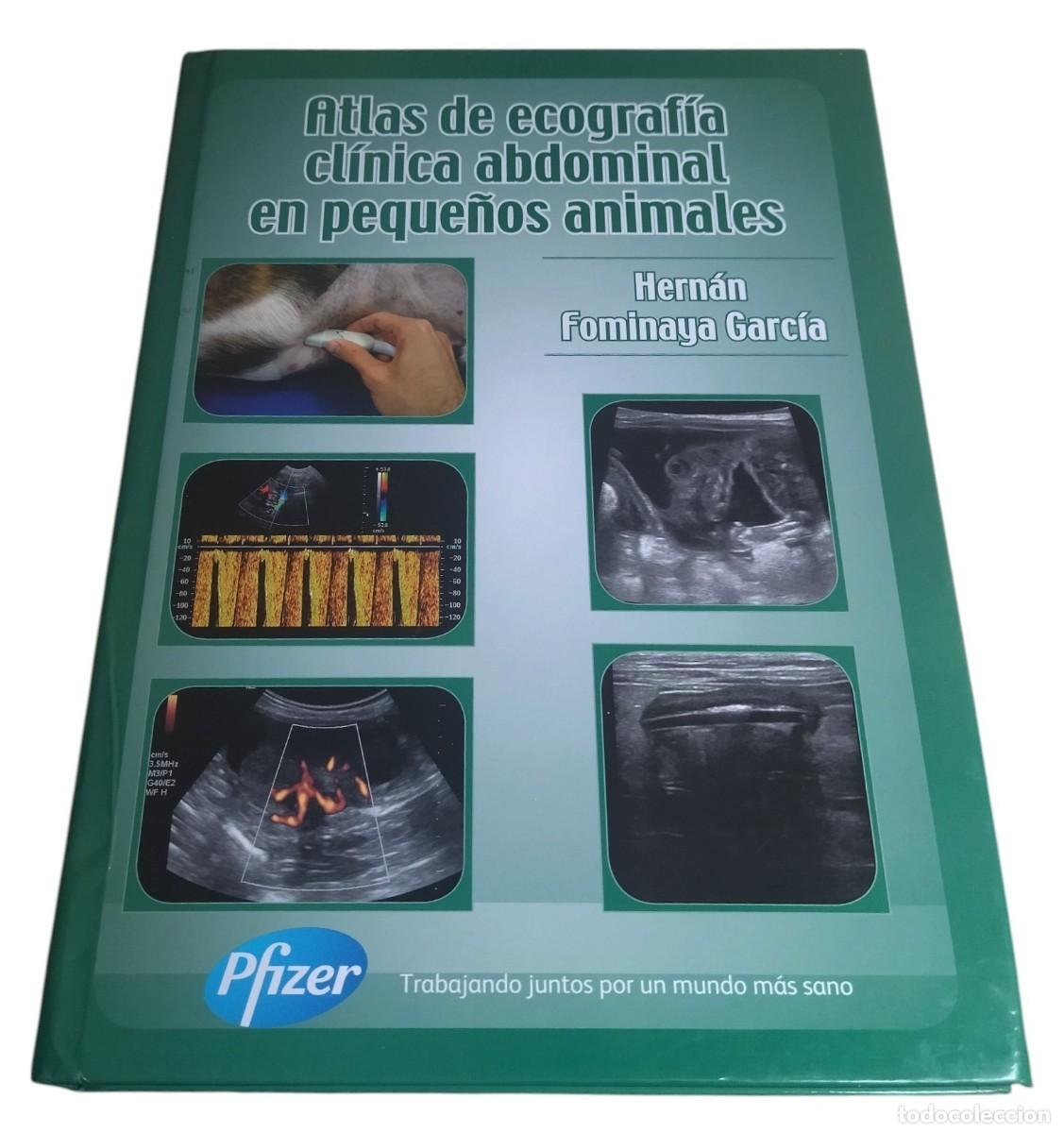 Libros de segunda mano: ATLAS DE ECOGRAF&Iacute;A CL&Iacute;NICA ABDOMINAL EN PEQUE&Ntilde;OS ANIMALES / HERN&Aacute;N FOMINYA GARC&Iacute;A. 2010. COMO NUEVO.