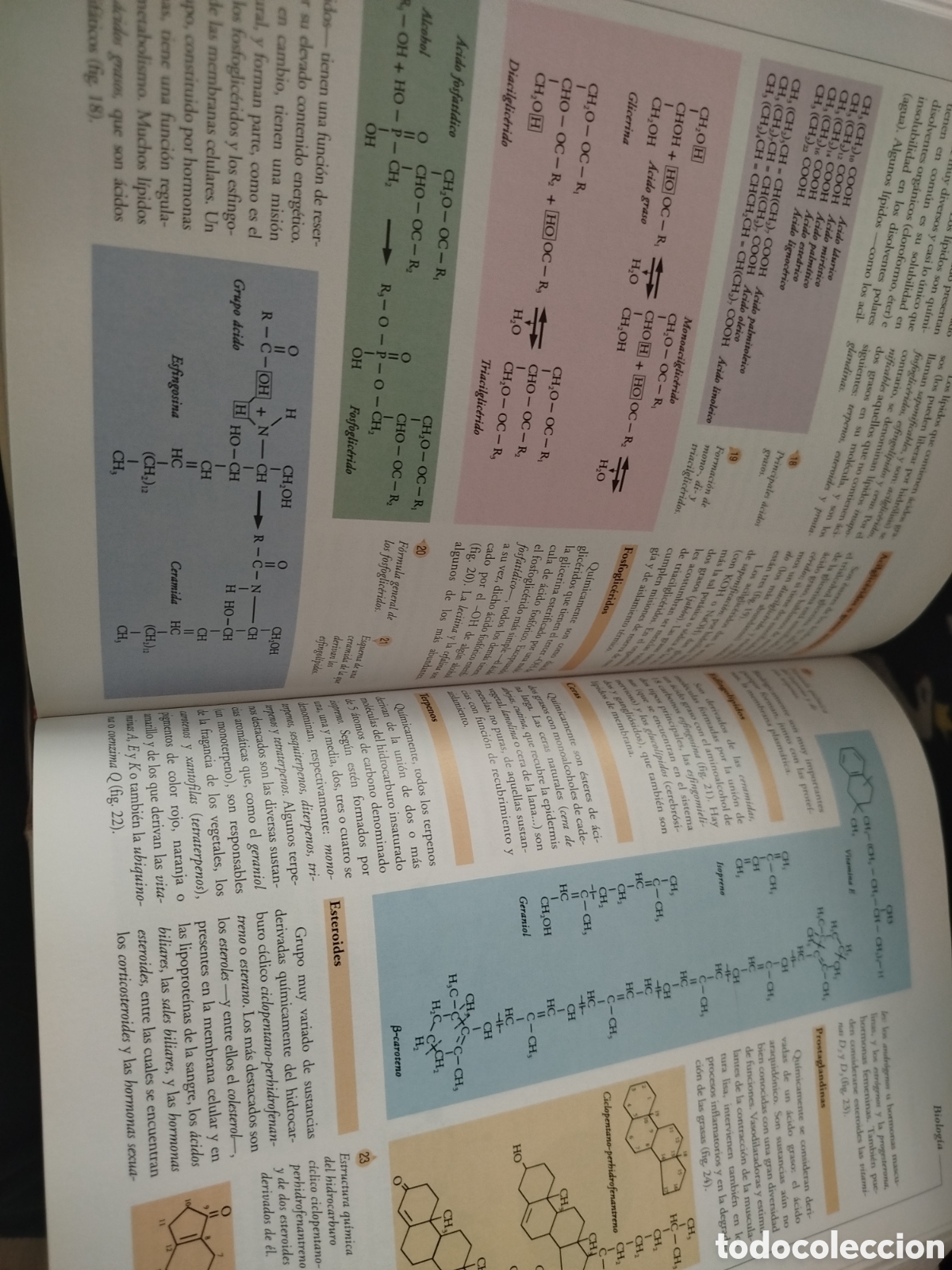 Libros de segunda mano: Atlas visual de las ciencias - Foto 4