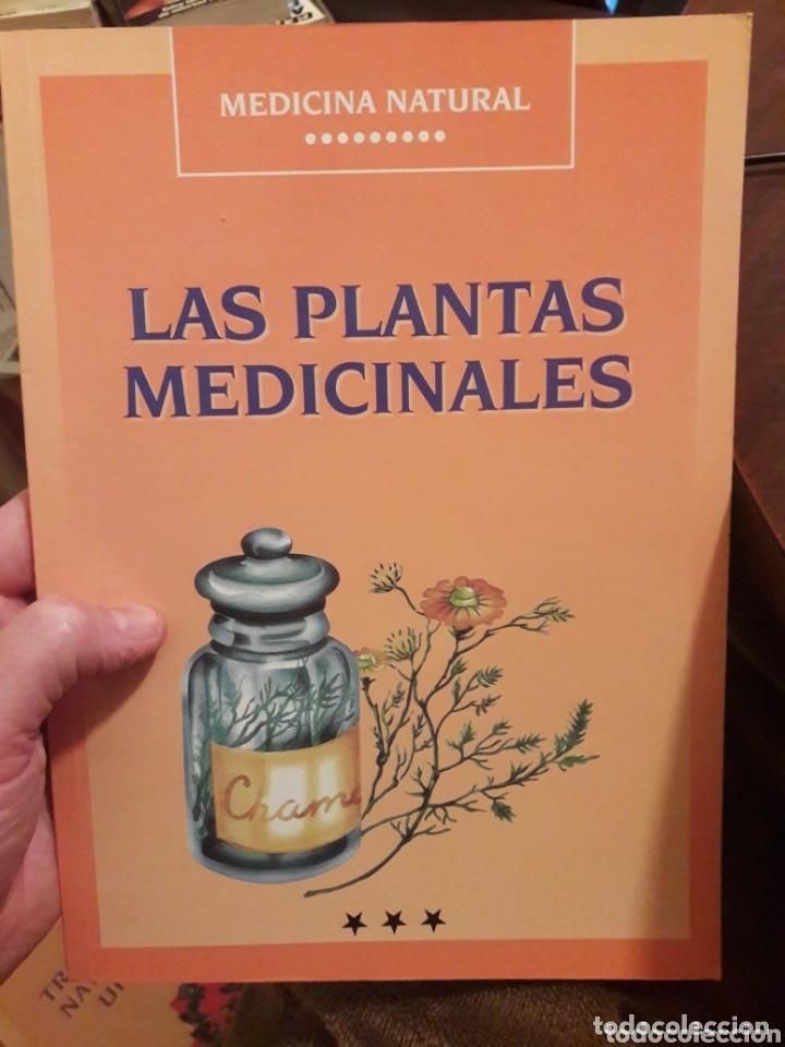 Libros de segunda mano: Las plantas medicinales. Raimundo J. Largo