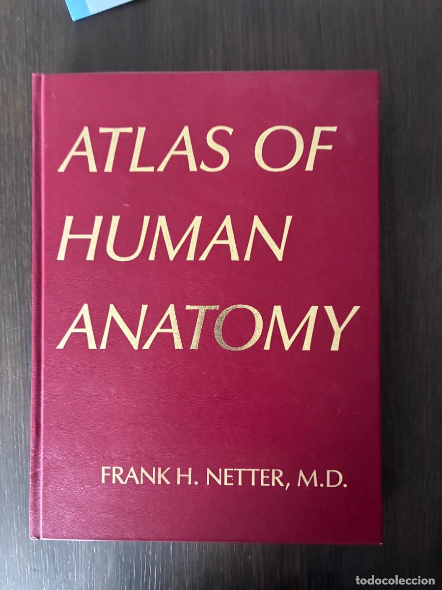 Libros de segunda mano: Netter: Atlas of Human anatomy. 1992