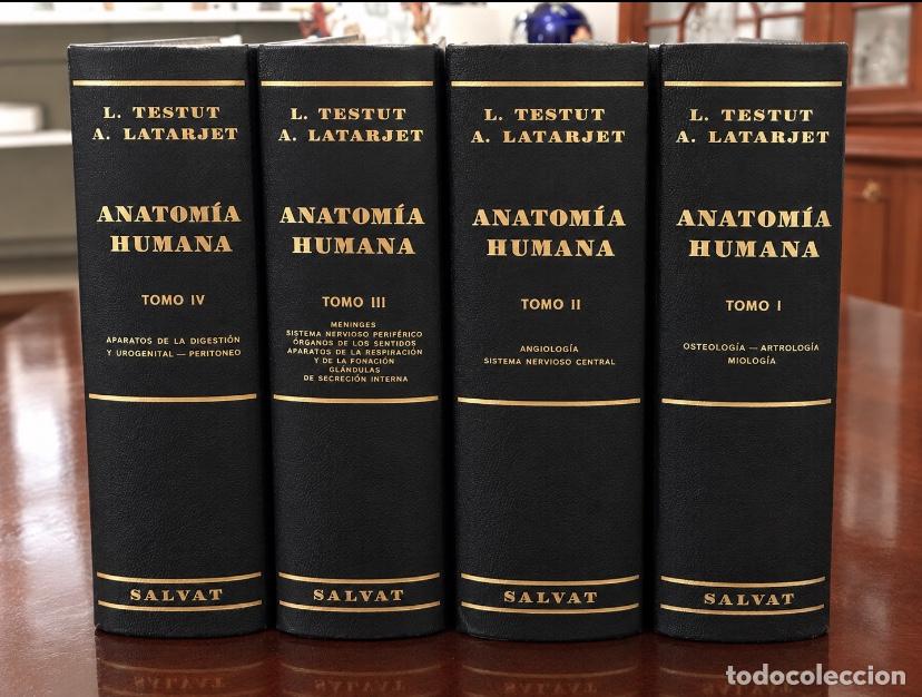 Libros de segunda mano: Anatom&iacute;a humana de Testut y Latarjet