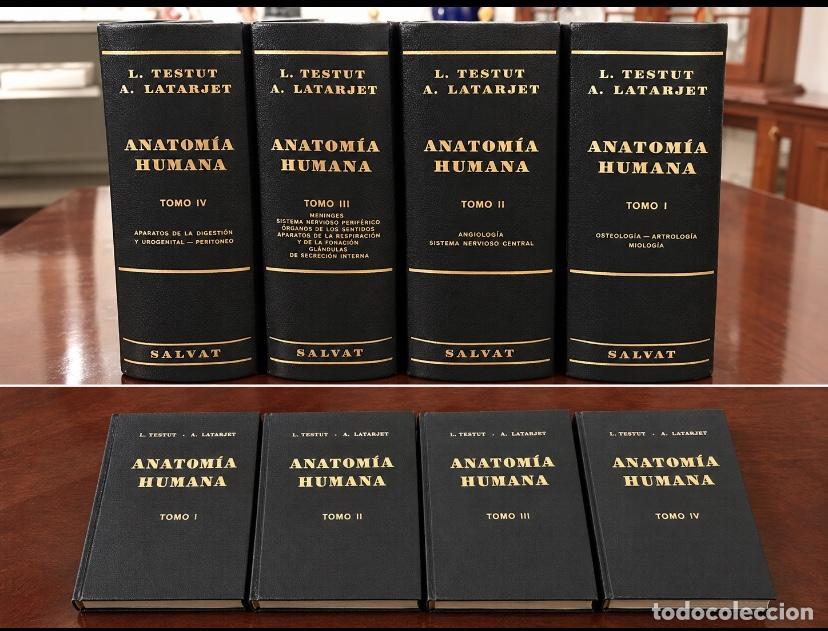 Libros de segunda mano: Anatom&iacute;a humana de Testut y Latarjet - Foto 3