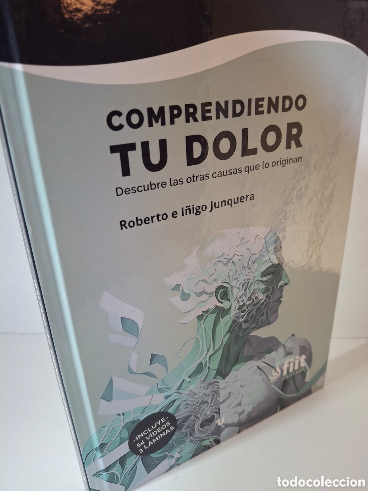 Libros de segunda mano: COMPRENDIENDO TU DOLOR, ROBERTO-I&Ntilde;IGO JUNQUERA, 54 VIDEOS, UNO EDITORIAL-FISIOONLINE, 2023