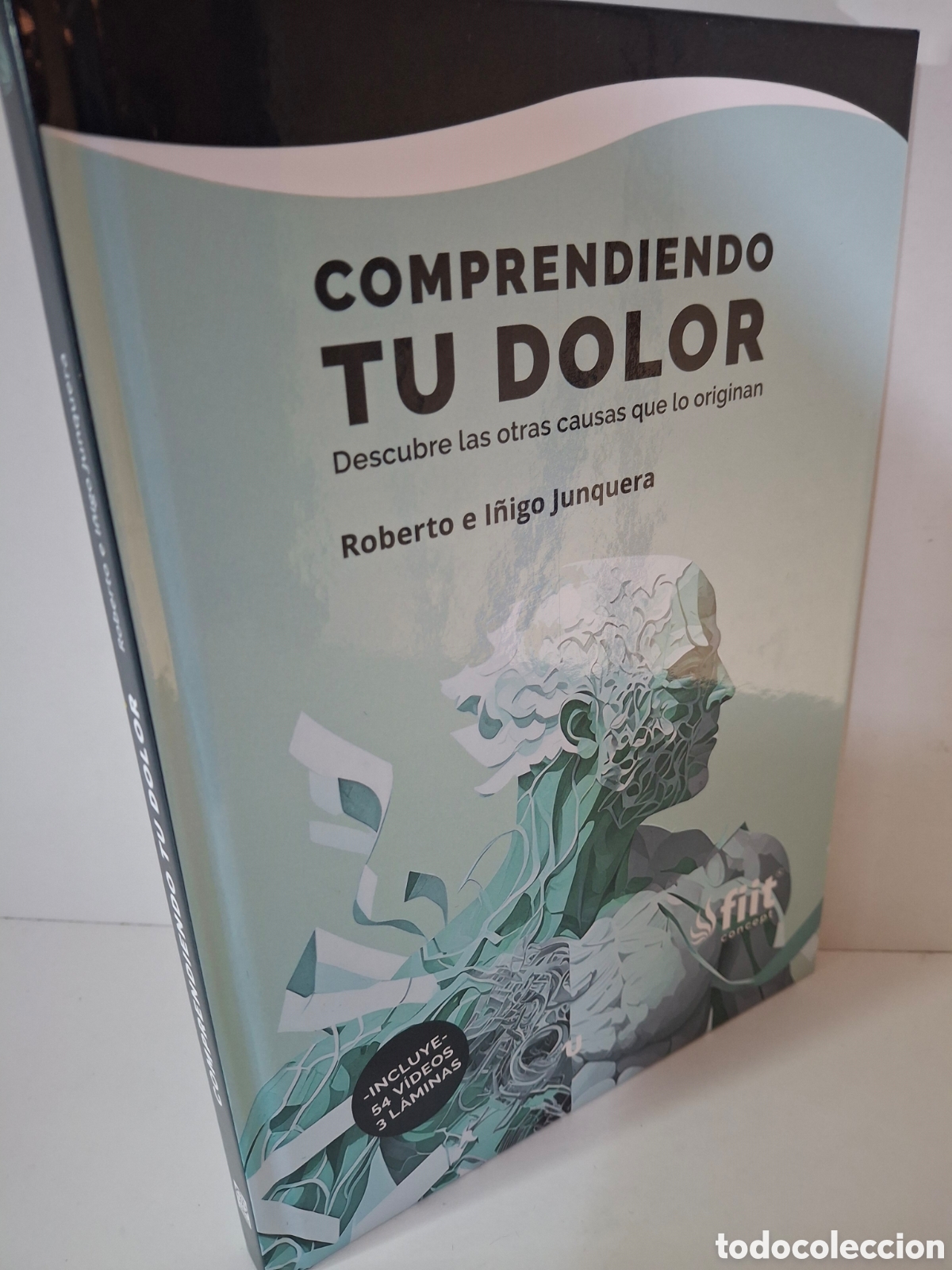 Libros de segunda mano: COMPRENDIENDO TU DOLOR, DESCUBRE LAS OTRAS CAUSAS QUE LO ORIGINAN, MANDALA-FISIOONLINE, 2023
