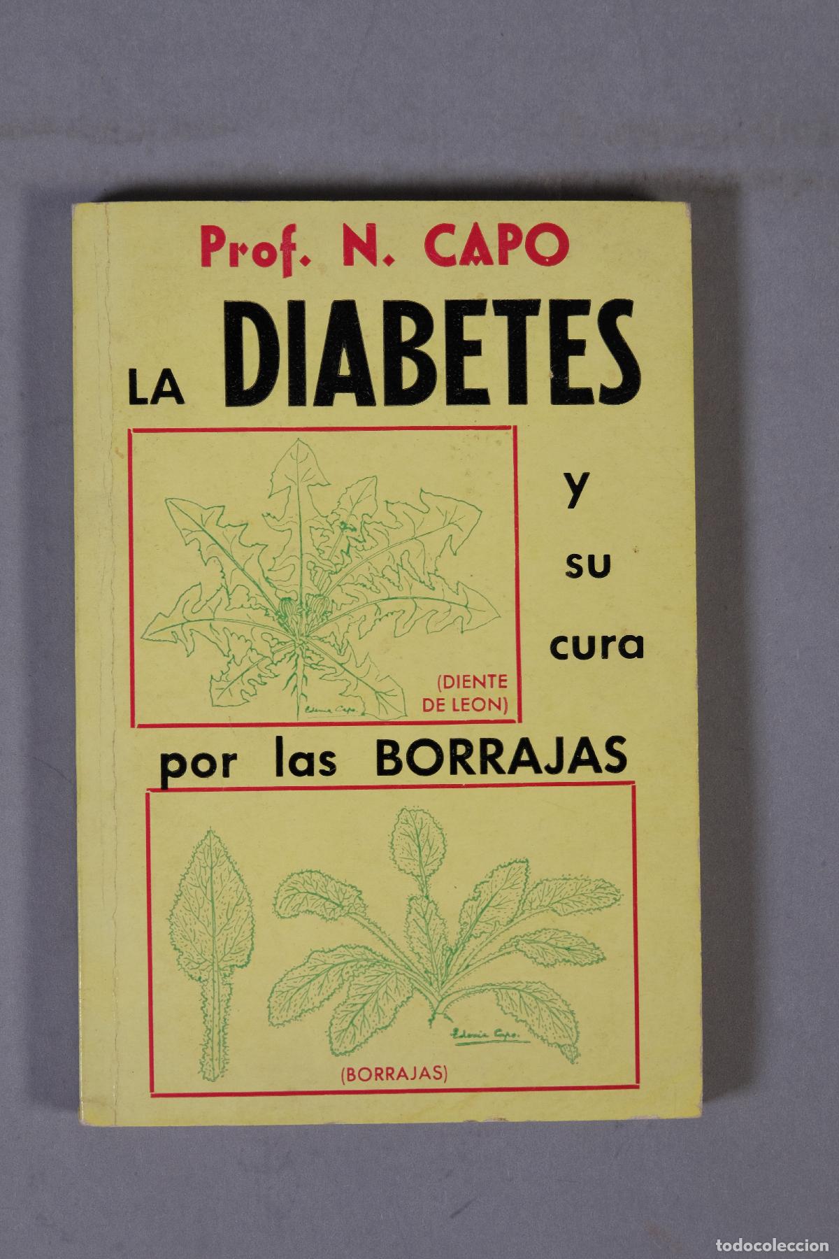 Libros de segunda mano: La diabetes y su cura por las borrajas - Prof. N. Capo, Barcelona, 1972