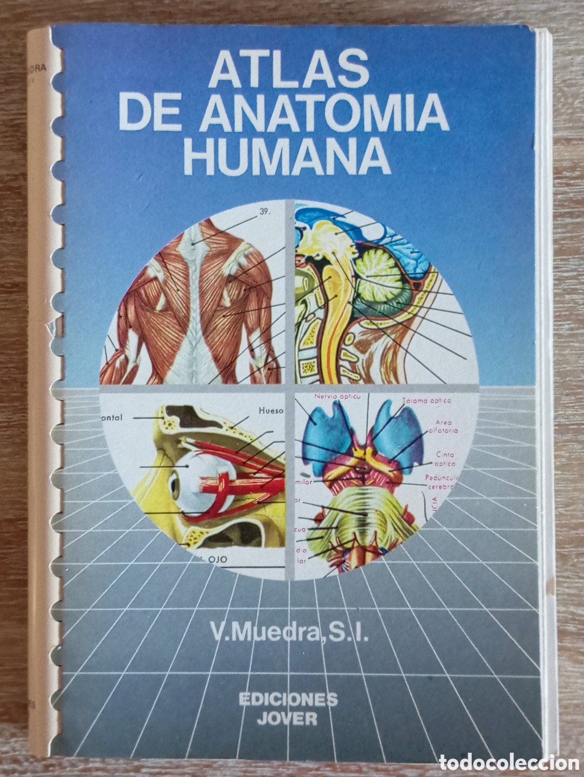 Libros de segunda mano: ATLAS DE ANATOMIA HUMANA - V MUEDRA