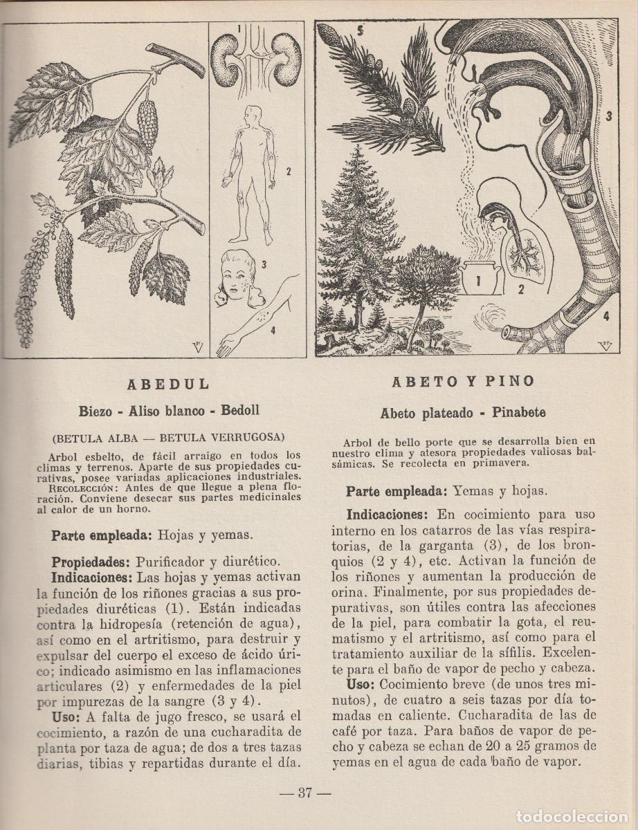 Libros de segunda mano: Plantas medicinales, Dr. A. Vander - Foto 11