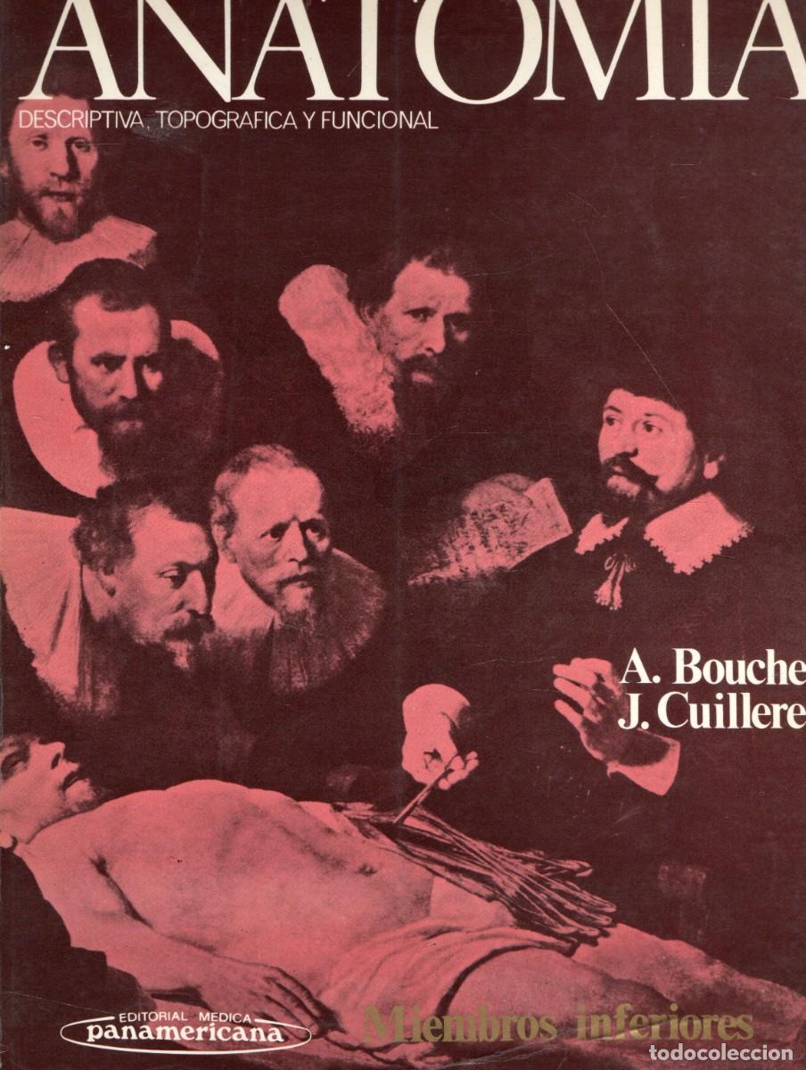 Libros de segunda mano: ANATOMIA. MIEMBROS INFERIORES. BOUCHET, A. Y CUILLERET, J. A-MEDI-1854