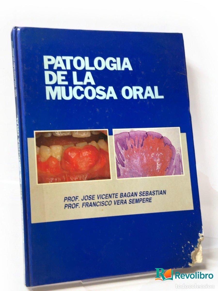 Libros de segunda mano: Patolog&iacute;a de la mucosa oral - Jos&eacute; Vicente Bag&aacute;n Sebasti&aacute;n, Francisco Vera Sempere