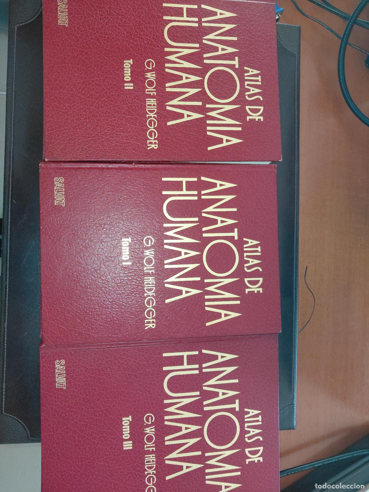 Libros de segunda mano: Atlas de Anatom&iacute;a Humana - G. Wolf-Heidegger (3 Tomos / Completo)