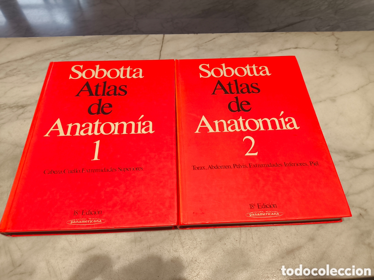 Libros de segunda mano: Sobotta. Atlas de Anatom&iacute;a 1 y 2. Panamericana 18 edici&oacute;n