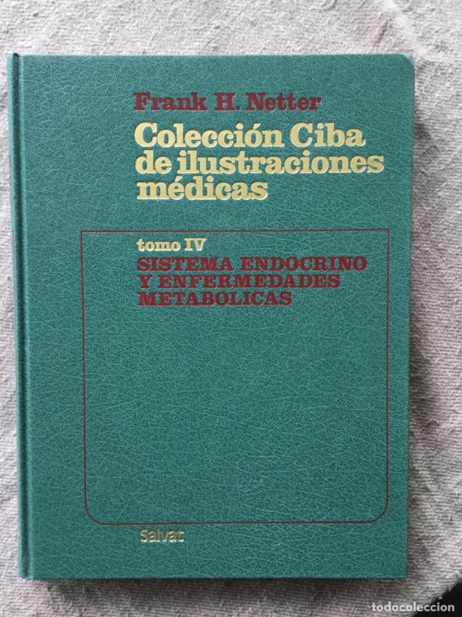 Libros de segunda mano: FRANK H. NETTER // COLECCION CIBA DE ILUSTRACIONES M&Eacute;DICAS // TOMO IV // SISTEMA ENDOCRINO