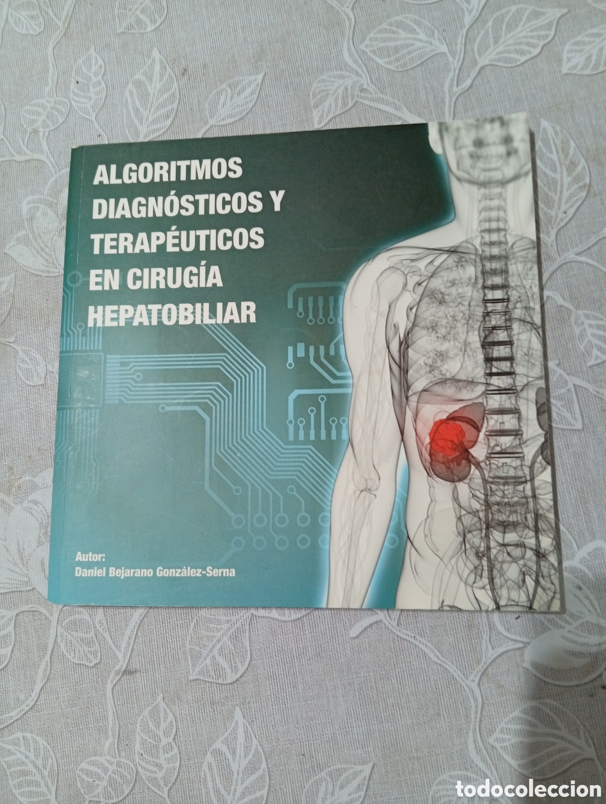 Libros de segunda mano: ALGORISTMOS DIAGNOSTICOS Y TERAPEUTICOS EN CIRUGIA HEPATOBILIAR. ESTADO EXCELENTE