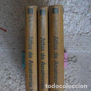 Libros de segunda mano: Atlas De Anatomia Humana Werner Spalteholz 3 Tomos Completo Editorial Labor 1972 PEIFER
