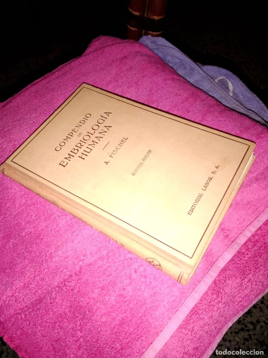 Libros de segunda mano: COMPENDIO DE EMBRIOLOGIA HUMANA