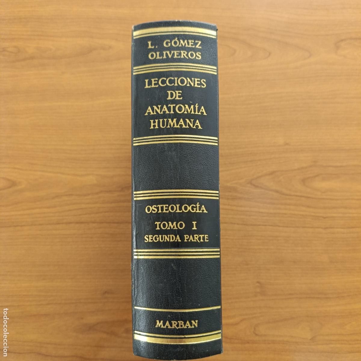 Libros de segunda mano: LECCIONES DE ANATOMIA HUMANA. OSTEOLOG&Iacute;A. TOMO I, SEGUNDA PARTE. L GOMEZ OLIVEROS. 1&ordm; EDICION 1960